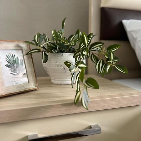 New Modern Tirana Apartment Экстерьер фото