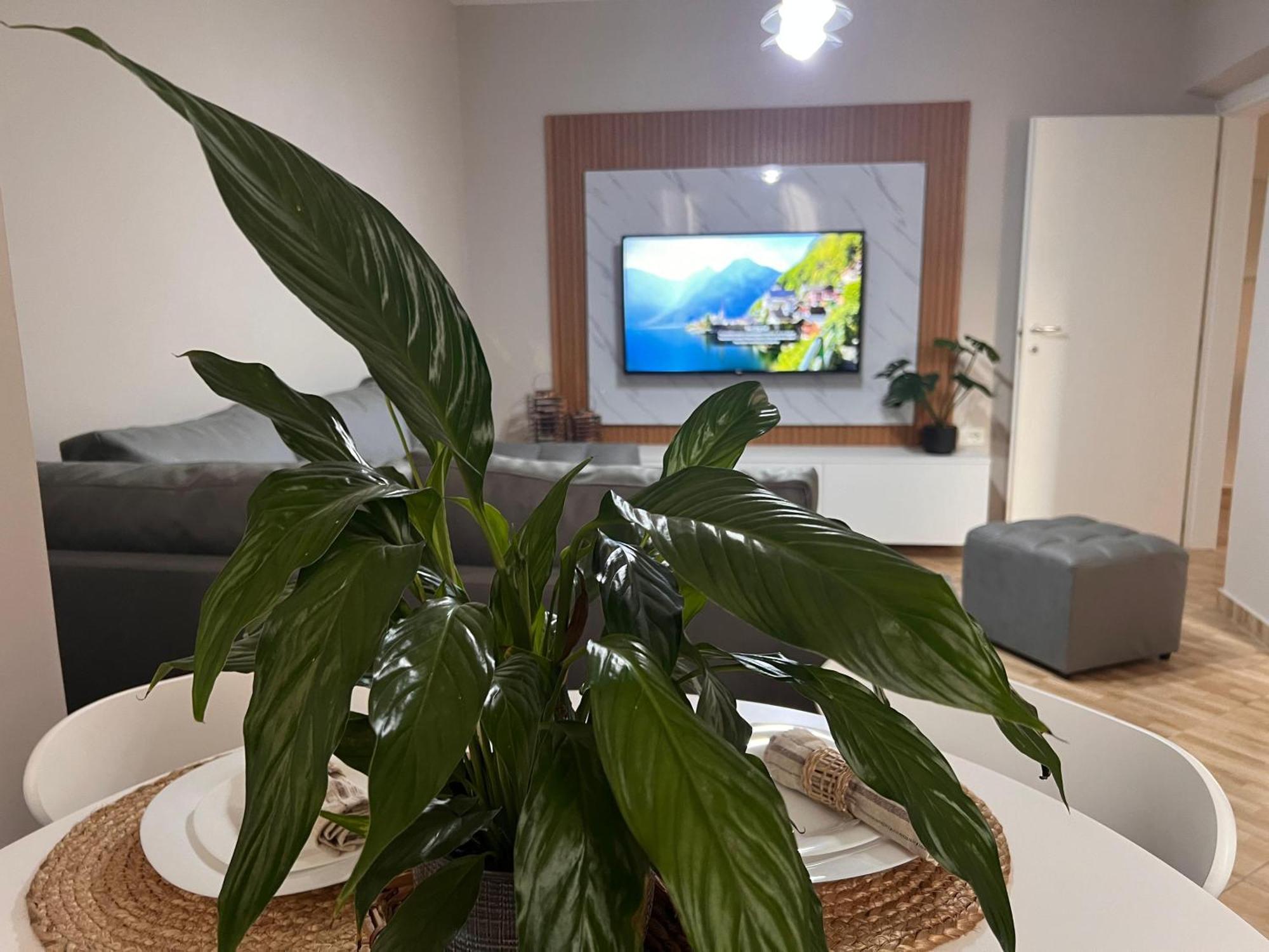 New Modern Tirana Apartment Экстерьер фото